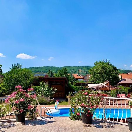 Bed and Breakfast Andrea Pansio Balatonfüred Exteriér fotografie